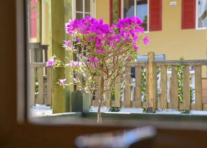 Kemp Mobile Homes Bilice